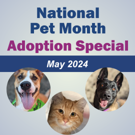 National Pet Month Adoption Special - May 2024