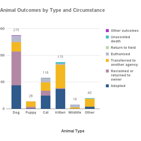 Animal outcomes by type and circumstance - October 2023