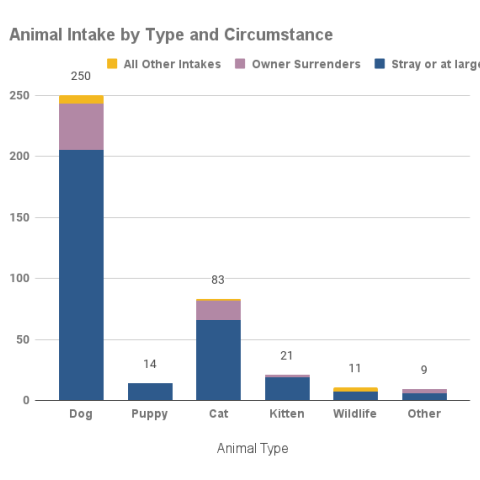 February 2024 Animal Intakes by Type and Circumstance
