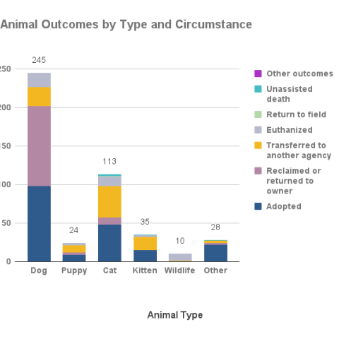 February 2024 Animal Outcomes by Type and Circumstance