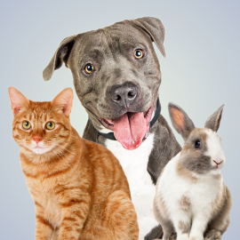 Fee-Waived Adoption event graphic with dog, cat, rabbit, and blue background