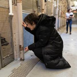 Chair Jessica Vega Pederson visits with a dog in a kennel at MCAS