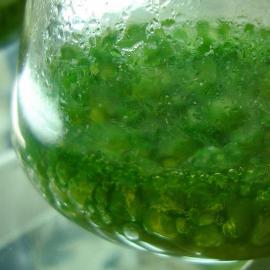 Blue Green Algae