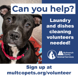 Laundry and dishes cleaning volunteers needed. Can you help?