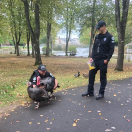 Officers Silva and Bacca pickup two found turkeys at Red Sunset Park