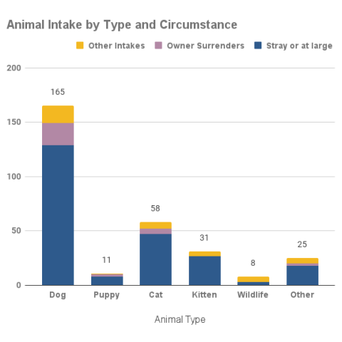 Animal intake - December 2021