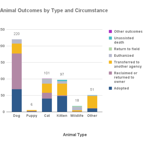 Animal outcomes by type and circumstance - June 2022