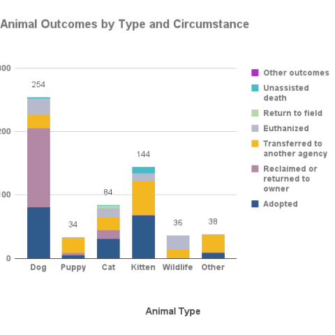 July 2023 outcomes by type and circumstance