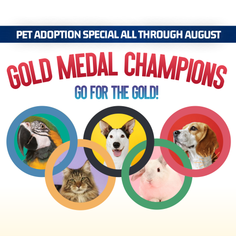 Gold Medal Champions Thumbnail