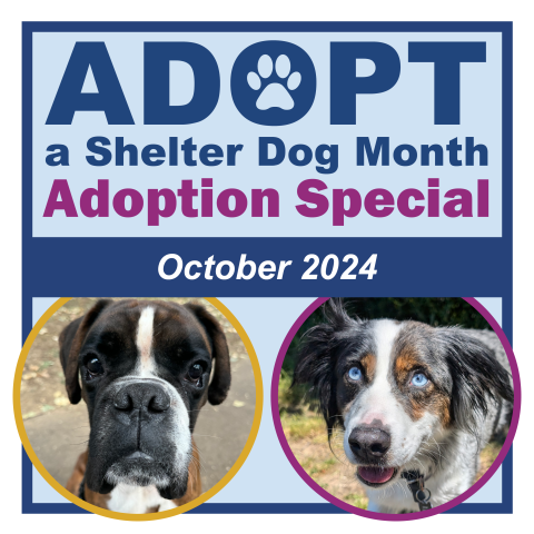 Adopt a Shelter Dog Month Adoption Special - October 2024