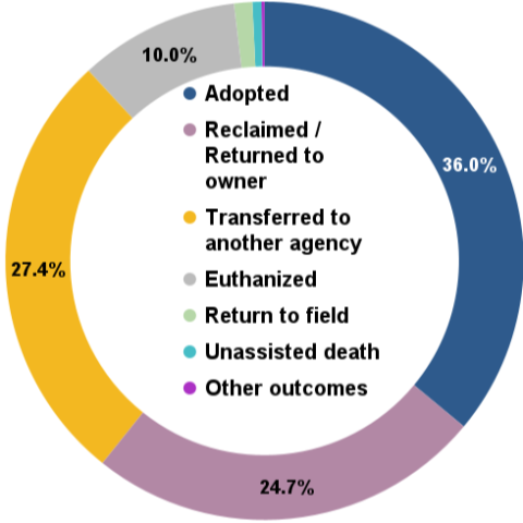 May 2024 - Total animal outcomes