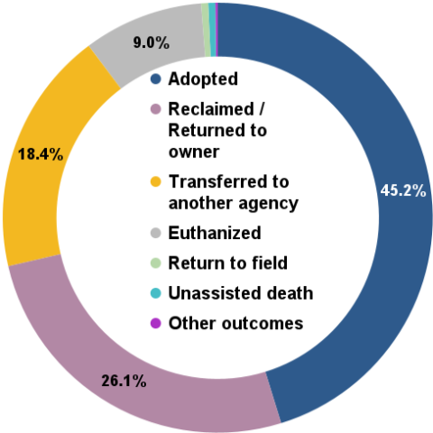 June 2024 total animal outcomes