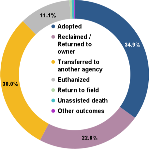 July 2024 total animal outcomes