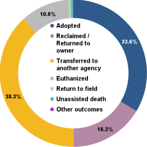 August 2024 total animal outcomes