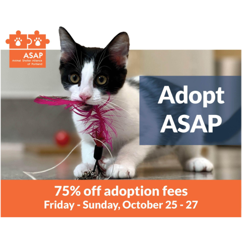 Adopt ASAP graphic with Animal Shelter Alliance of Portland logo, a cat with a toy in its mouth, and "75% off adoption fees, October 25 - 27"