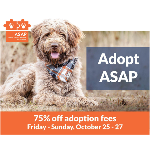 Adopt ASAP graphic with Animal Shelter Alliance of Portland logo, a dog, and "75% off adoption fees, October 25 - 27"