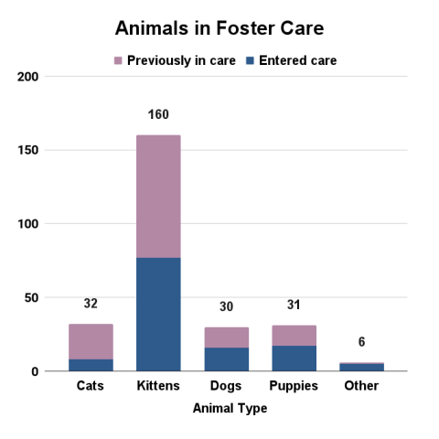 September 2024 Animals in Foster Care