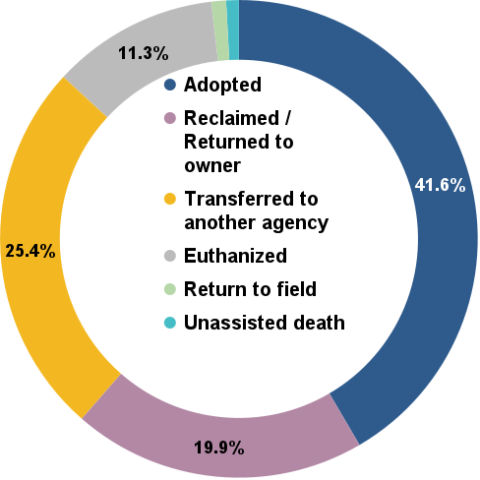 September 2024 Total Animal Outcomes