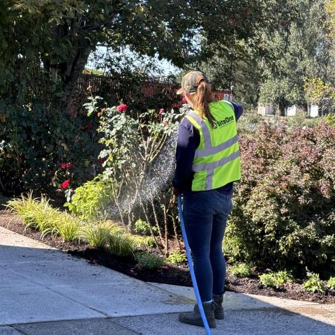 Claire waters in the newly planted grass and plants at the shelter entryway