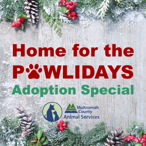 Home for the PAWLidays Adoption Special (graphic) with Multnomah County logo on a rustic winter background