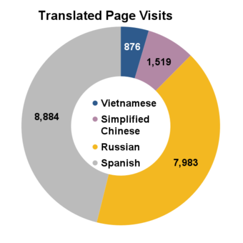 Translated webpage visits - November 2024