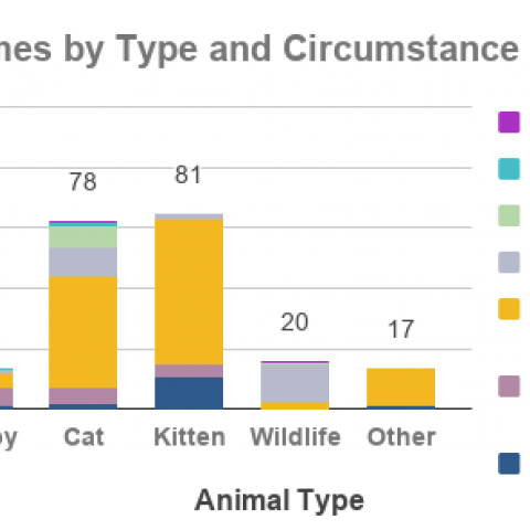 Graph- Animal Outcomes by Type and Circumstance