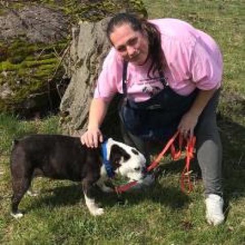 Volunteer of the month, Tammy H, stands with Cosette the Boston Terrier Mix